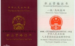 高級職業資格證書包括哪些(職業資格有哪些)