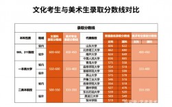 美術(shù)220文化350能上什么大學(xué)