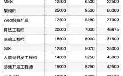 人工智能工程師月薪多少(國內人工智能龍頭公司)