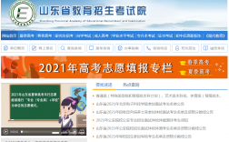 山東招生考試院官網www.sdzk.cn