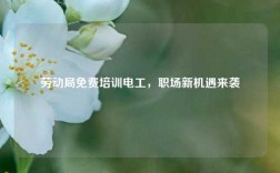 勞動局免費(fèi)培訓(xùn)電工，職場新機(jī)遇來襲