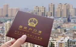 本科入戶深圳(深圳2024年落戶政策)
