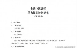 全媒體運營師標準(運營師是干嘛的)