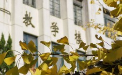 上海專科學校(上海十大最好的職業學校)