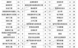 中南大學(xué)王牌專業(yè)