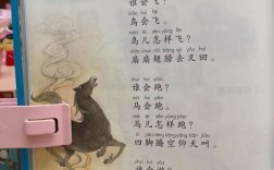 7歲8個月讀一年級會不會太晚