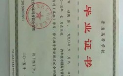大專可以考什么證書