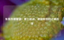 東莞市塘廈鎮：電工培訓，職業轉型的正確選擇