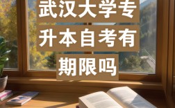 2024年武漢大學(xué)專升本