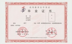 獨立本科段(自考本科和成人高考的區別)