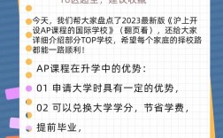 ap課程是什么