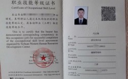 中國衛(wèi)生人才網(wǎng)入口健康管理師