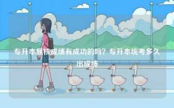 專升本復核成績有成功的嗎？專升本統考多久出成績