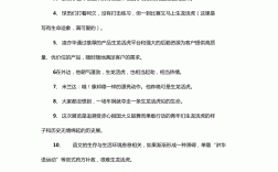 生龍活虎造句