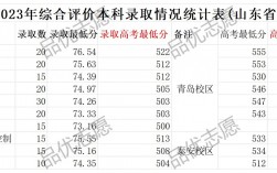 山東科技大學分數線
