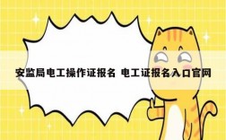 安監(jiān)局電工操作證報(bào)名 電工證報(bào)名入口官網(wǎng)