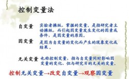 自變量和因變量怎么區(qū)分