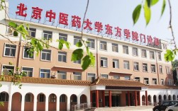 北京中醫藥大學東方學院怎么樣(民辦最好的中醫藥大學)
