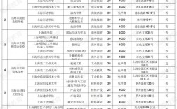 上海職業(yè)技術(shù)學(xué)院排名前十有哪些