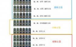 士官和軍官的區(qū)別(最新士官轉(zhuǎn)業(yè)安置條例)