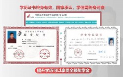 現在考一個大專文憑要多少錢(考函授大專需要多少錢)