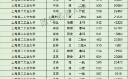 上海第二工業大學分數線