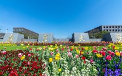 南京高校(南京的全部大學排名)