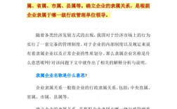 隸屬于是什么意思