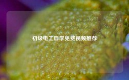 初級電工自學(xué)免費(fèi)視頻推薦