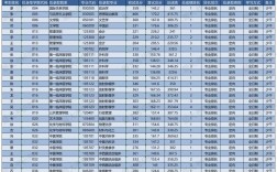 2024年少數民族骨干計劃