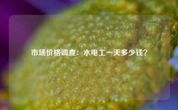 市場價格調查：水電工一天多少錢？