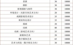 藝術類大學學費一年多少錢(院校學費一覽表)