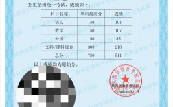 怎么查高考文綜單科成績