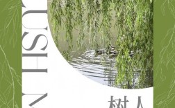 浙江樹人學院怎么樣(浙江萬里好還是樹人好)