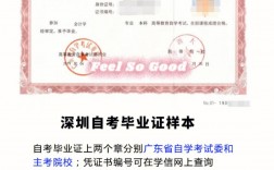 深圳小自考機構半路轉專業(正規的自考機構哪家好)