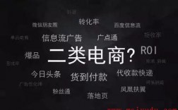 二類電商是什么意思