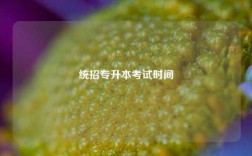 統(tǒng)招專升本考試時(shí)間 幾月份報(bào)名