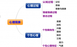 心理學研究對象