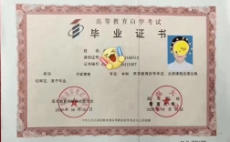 自考幼師證的最低學歷(自考本科報名官網入口)