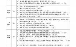 三級護理是什么意思