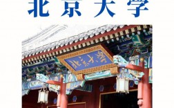 北京大學mpa詳解