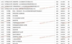 2024年山東商業(yè)職業(yè)技術(shù)學(xué)院分?jǐn)?shù)線