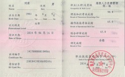 好考的職業資格證書(考證官網)