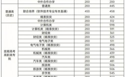 職高上武軟多少分