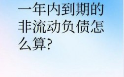 一年內到期的非流動負債