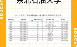 東北石油大學什么檔次