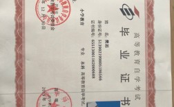 自考學歷有用嗎(初中文憑怎么報考成人大專)