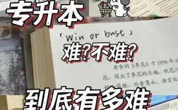 電子商務(wù)專升本難嗎