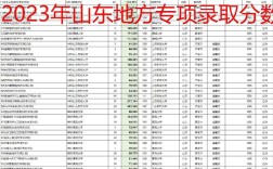 2024年山東地方專項計劃錄取分數線
