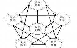 社會功能是什么意思(社會功能包括哪四個方面)